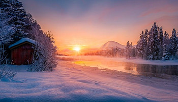 Winter light, river, winter, frost, lake, snow, trees, sun, ice, sunset HD wallpaper