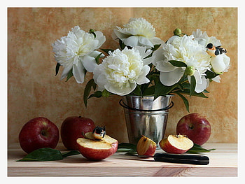 still life, white, bouquet, birds, graphy, peony, beautiful, nice, flower, red, cool, fruit, bucket, apple, flowers HD wallpaper