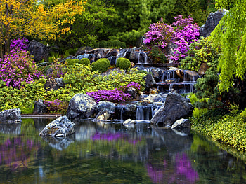 Water cascades in park, reflection, trees, greenery, cascades, pond, fall, garden, paradise, bushes, beautiful, grass, park, summer, pretty, waterfall, lovely, forest HD wallpaper