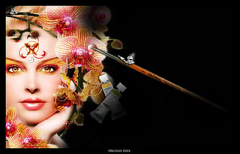 Orchid Eyes, elegant, pretty, flowers, woman, orchids HD wallpaper