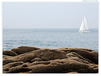 Sail Away, boat, sail, water, ocean HD wallpaper