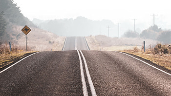 Road Between Dry Grass Field Forest With Fog Nature HD wallpaper