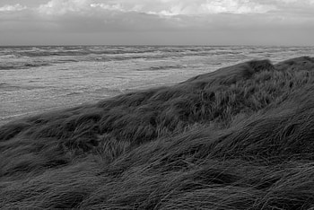 Landscape, Nature, Grass, Sea, Coast, Bw, Chb HD wallpaper