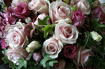 Flowers, Roses, Leaves, Drops, Bouquet, Freshness, Lisianthus Russell, Lisiantus Russell HD wallpaper