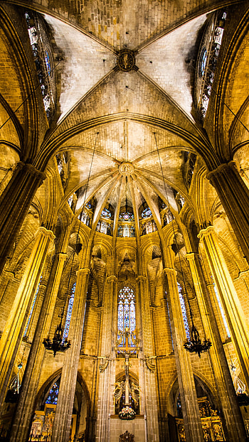 Barcelona Cathedral, Spain, Vacation HD phone wallpaper