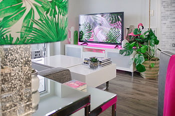 A stylish living room featuring tropical-themed decor, plants, and a modern TV setup. HD wallpaper