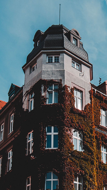 Classic Old Building, building, old, classic HD phone wallpaper
