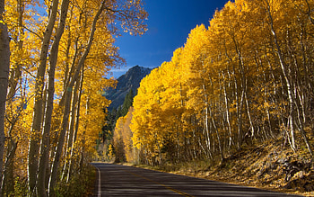 Landscape, Roads, Autumn HD wallpaper