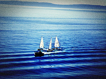 sailboats ...., blue, sea, adriatic, calming, sailbaots HD wallpaper