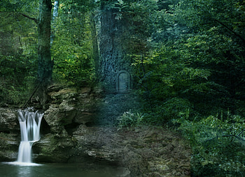 Landscape, Nature, Trees, Waterfall, Forest HD wallpaper