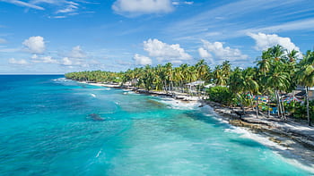Lush palm-lined coastline of Maldives with turquoise waters and clear blue sky. HD wallpaper