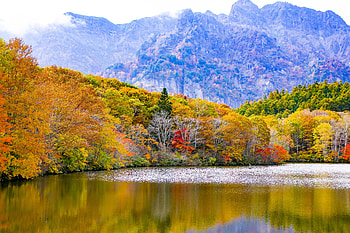 Nature, Trees, Mountains, Autumn, Lake, Japan, Togakushi, Togakusi HD wallpaper