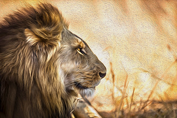Lion Art, lion, animals, artist, artwork, digital-art HD wallpaper