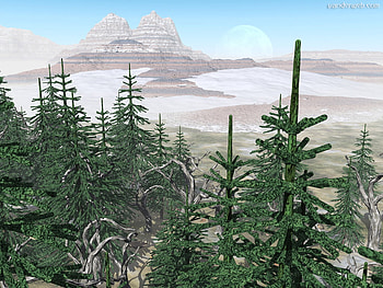 moon over the mountain, pinetrees, beautiful, forground, scenic HD wallpaper