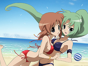 Beach girls 2, sexy, anime, cute, sky, girl, beach HD wallpaper