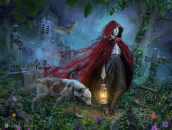 Red Riding Hood, girl, wolf, forest, lup, l saveljeva, blue, night, fantasy, red, lantern HD wallpaper