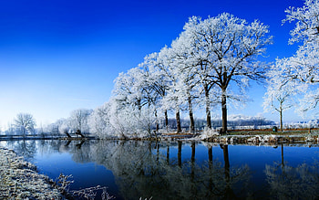 WINTER WONDER, winter, blue, river, trees, sky HD wallpaper