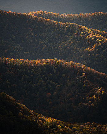 Nature, View From Above, Forest, Hills HD phone wallpaper
