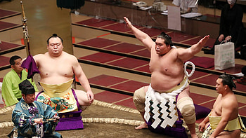 Sumo in Japan, Old sport ambassador HD wallpaper