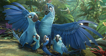 Rio 2, Rio, 2, Beautiful HD wallpaper