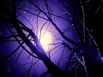 Silent Thoughts In The Night, night, thoughts, silent HD wallpaper