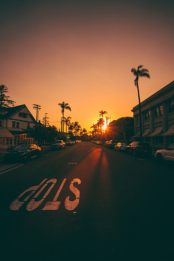 Cities, Sunset, Palms, Cars, Road, Markup, Street HD phone wallpaper