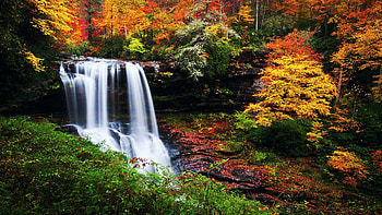 Autumn at Dry Falls - Highlands, North Carolina, leaves, fall, river, colors, trees, usa HD wallpaper