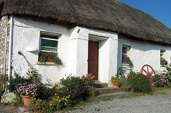cottage, nature, flowers, ireland HD wallpaper