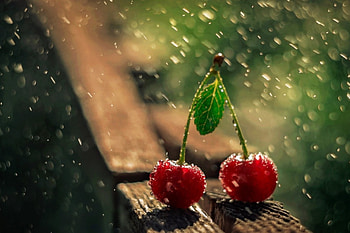 Cherries, two, rain, graphy, red HD wallpaper