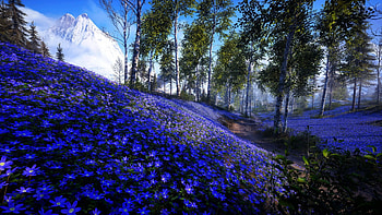 Spring wildflowers, slope, wildflowers, blue, freshness, trees, meadow, beautiful, spring HD wallpaper
