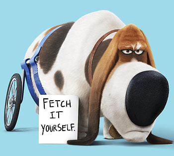Pops The Secret Life Of Pets, the-secret-life-of-pets, movies, animated-movies, cartoons, 2016-movies HD wallpaper