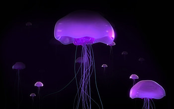 Jellyfish beauty, 3D , Illuminated sea life, Mesmerizing creatures HD wallpaper