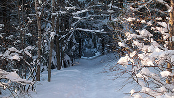 Pitcher MT Trail Winter, pitcher, new hampshire, stoddard, nh, mountain HD wallpaper
