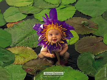 baby, anne geddes, purple, waterlily, lake HD wallpaper