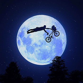 Bmx Like Boss, bmx, bicycle, artist, artwork, digital-art, moon HD phone wallpaper