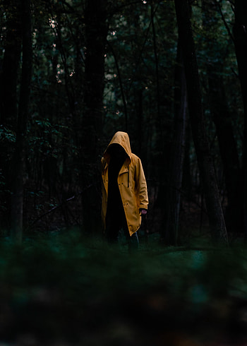 Trees, Miscellanea, Miscellaneous, Forest, Human, Person, Cloak HD phone wallpaper