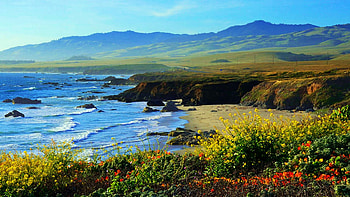 San Simeon State Beach, on the Central Coast of California, landscape, sea, hills, flowers, usa HD wallpaper