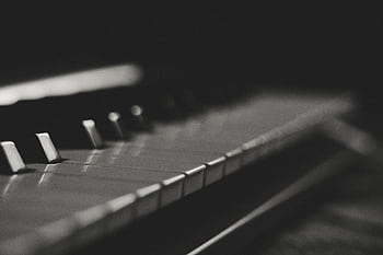 Artistic black and white close-up of piano keys with soft focus and minimalistic style. HD wallpaper