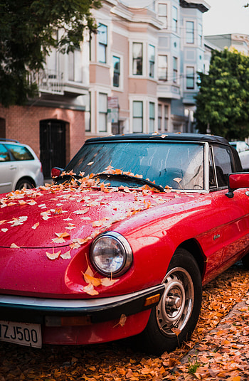 Auto, Autumn, Cars, Side View, Foliage HD phone wallpaper