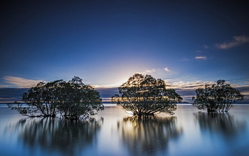 Wonderful water landscape, mirror, colorful, magic, color, landscape, colors, beautiful, dark, nice, trees, nature, , splendor, water, silhouette HD wallpaper