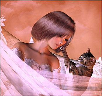 Cat and doll, animal, kitten, doll, cat, feline HD wallpaper