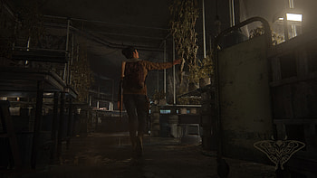 Jackson (Dina+logo), Dina (The Last of Us), The Last of Us Part II HD wallpaper