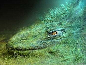 Ancient, dragon, green HD wallpaper