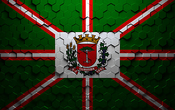 Flag of Curitiba, honeycomb art, Curitiba hexagons flag, Curitiba 3d hexagons art, Curitiba flag HD wallpaper