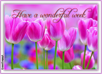 WONDERFUL WEEK, COMMENT, WEEK, CARD, WONDERFUL HD wallpaper