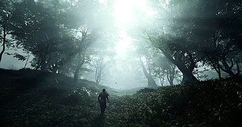 Ghost of Tsushima : Samurai in Sunrise Forest, video game, Ghost of Tsushima HD wallpaper