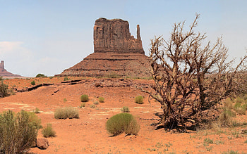 Nature, Canyon, Desert, Vegetation, Drought HD wallpaper