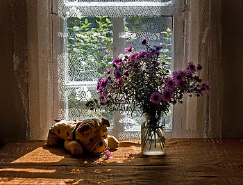 My Window, still life, window, graphy, nice HD wallpaper