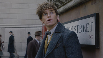 David Yates, Fantastic Beasts 2, Film review, Crimes of Grindelwald HD wallpaper