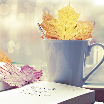 Background, Leaves, Cups HD phone wallpaper